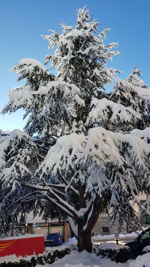 Locanda Ai Dogi Pieve di Cadore Exterior foto