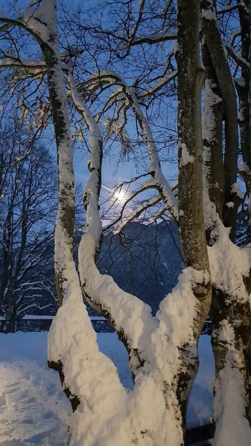 Locanda Ai Dogi Pieve di Cadore Exterior foto